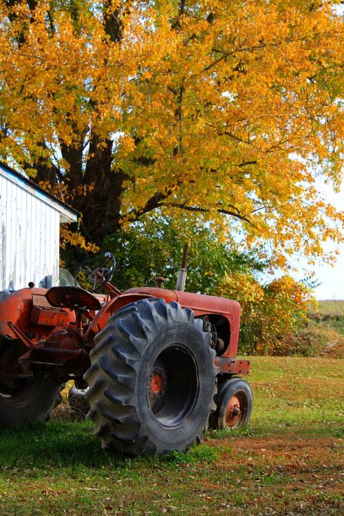 tractor fall autumn