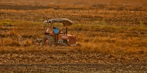 tractor farmer field