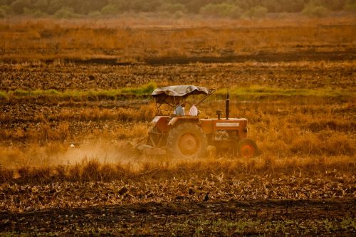 tractor farmer field