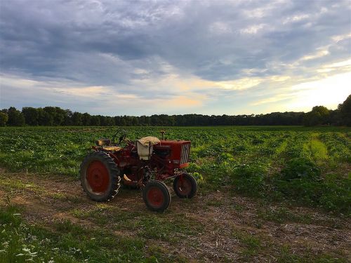 tractor farm sunset