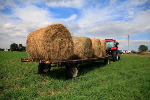 tractor  vale  hay