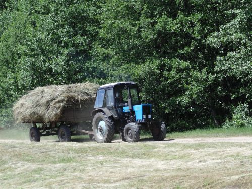 tractor hay forest