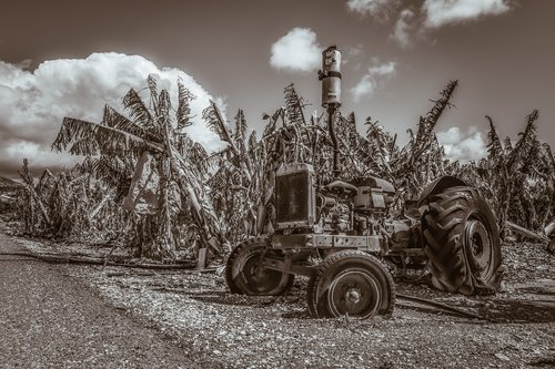 tractor  old  oldtimer