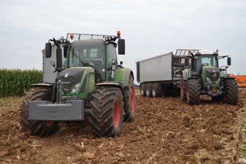tractor silage fendt
