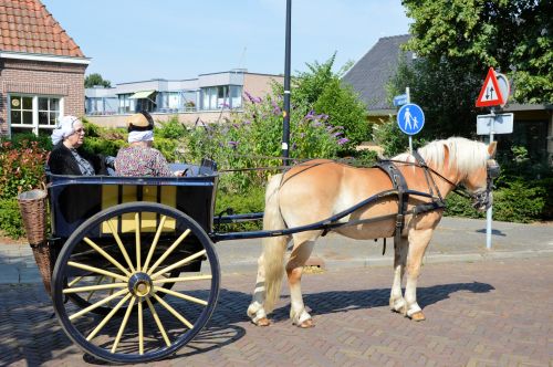 Traditional Carriages