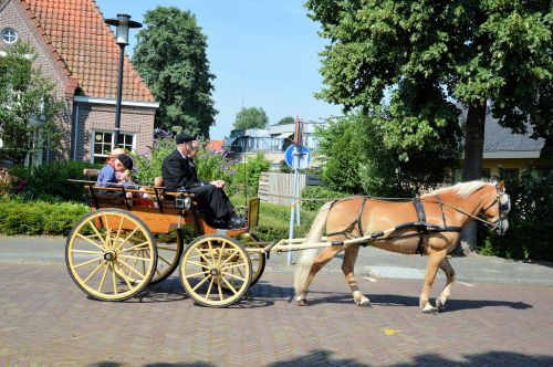 Traditional Carriages