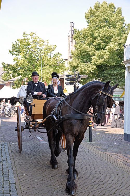 Traditional Carriages