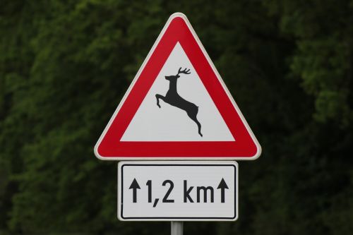 traffic sign deer on the street warning