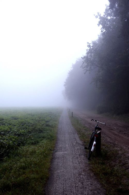 trail landscape fog