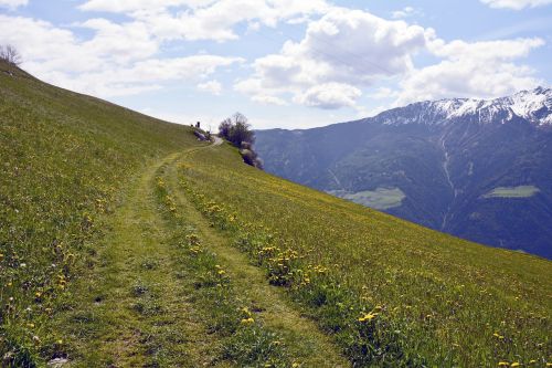 trail away meadow