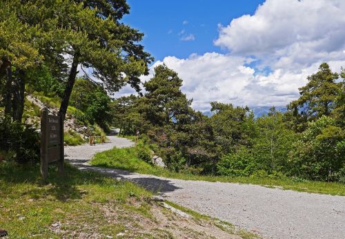 trail high mountains forest path