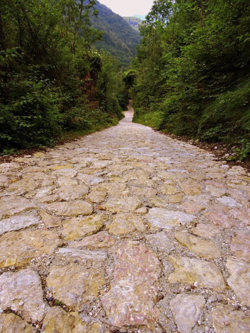 trail flooring stone