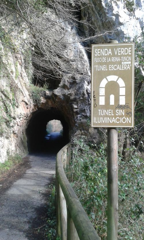 trail path tunnel