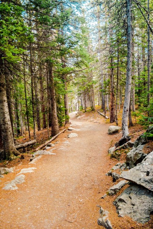 trail nature path