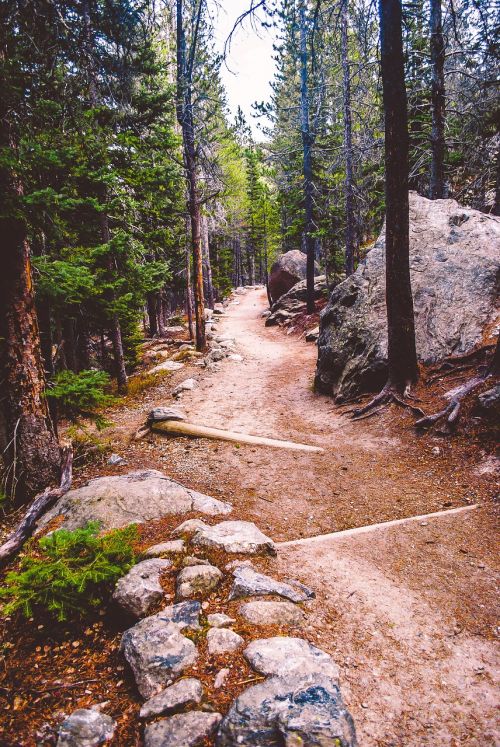 trail path landscape