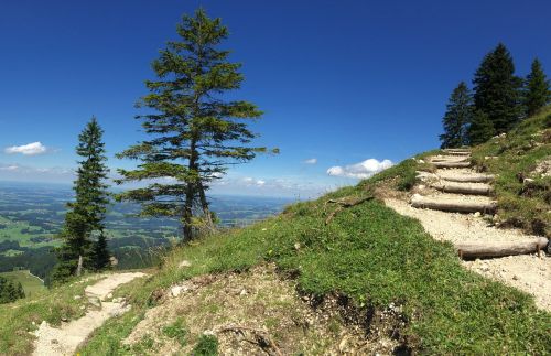trail view landscape