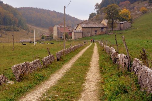 trail stone fence