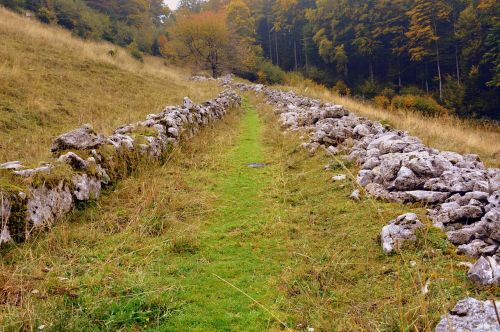 trail stones grass