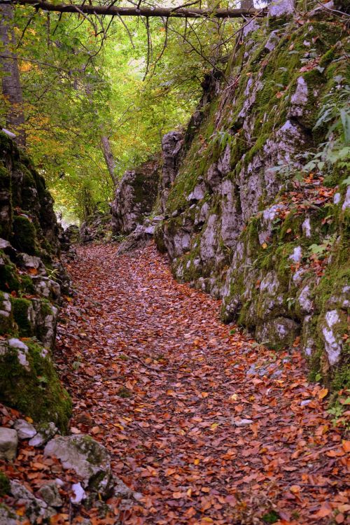 trail stones autumn