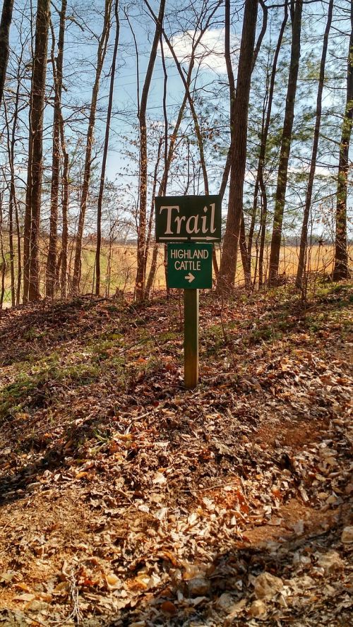 trail hiking tennessee