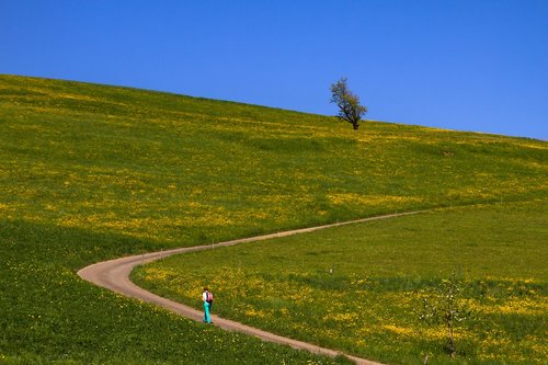 trail  landscape  meadow