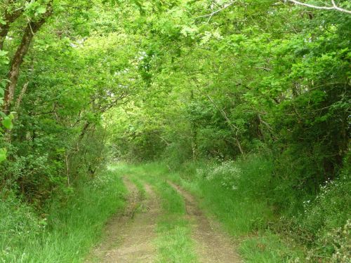 trail field vendéenne