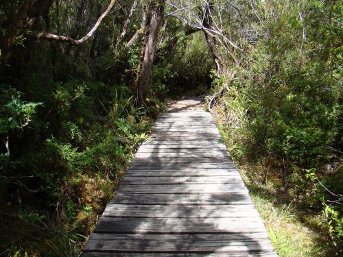 trail path landscape