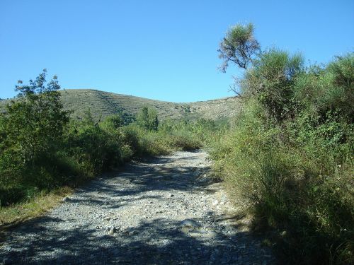 trail stones summer