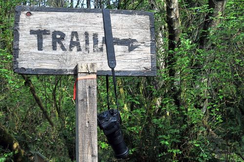 Trail Sign With Camera