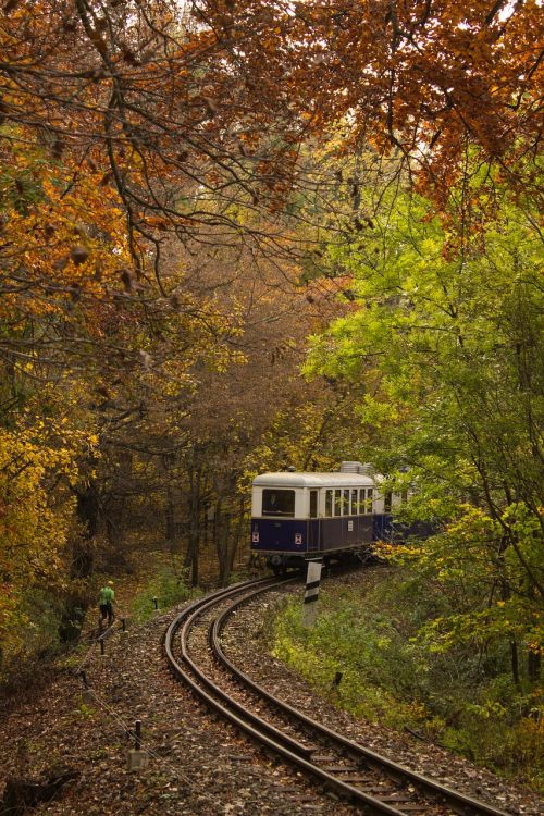 train nature transport