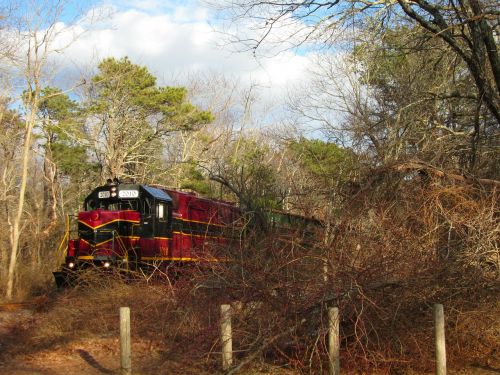 train nature woods