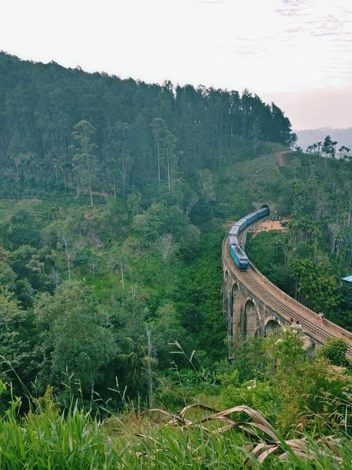 train  bridge  nature