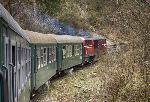 train  narrow gauge railway  diesel locomotive