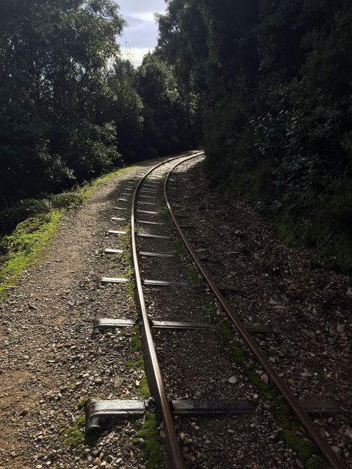 train tracks forest greece