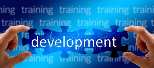 training education development