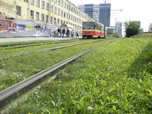 tram grass transport