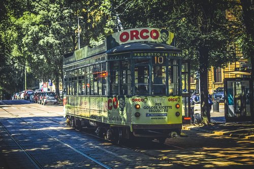 tram  transportation  city