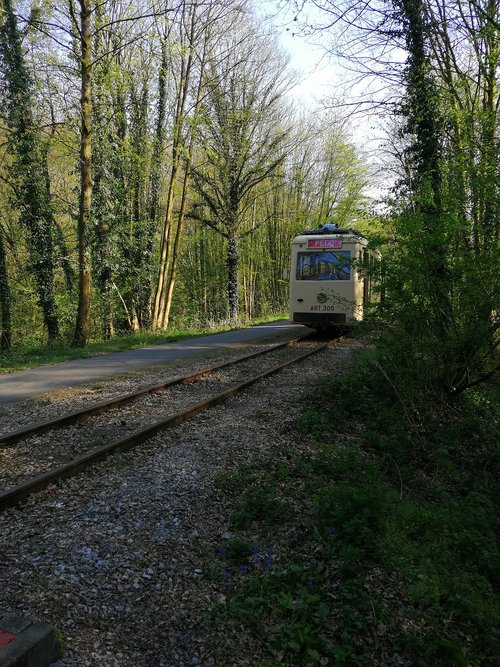 tram  antique  rails