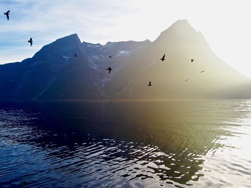 trandal  mountains  fjord