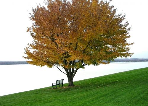 tranquil autumn scene