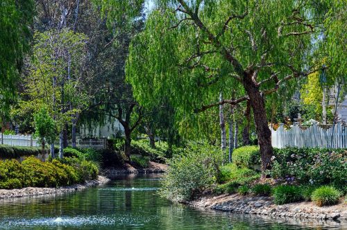 Tranquil Lake Setting