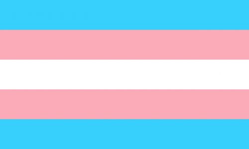 trans transgender flag