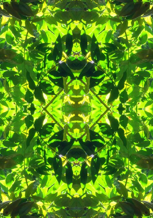 Translucent Leaf Repeat Pattern