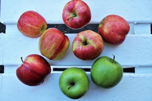 transmission  apples  nutrition