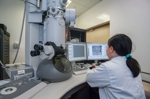 transmission electron microscope universiti malaysia sabah biotechnology research institute
