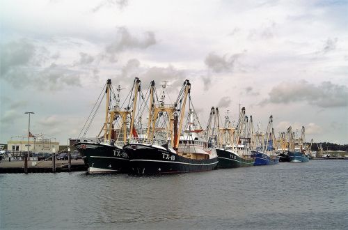 transport fisheries fishing boats