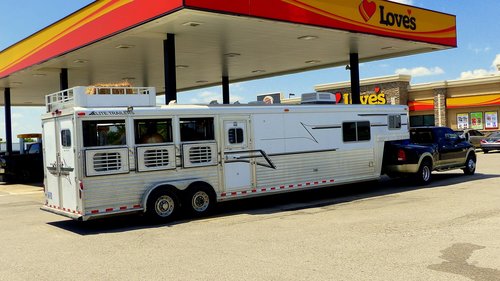 transport  trailer  horses