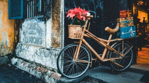 transportation bicycle wood