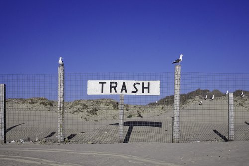 trash  seagulls  sign