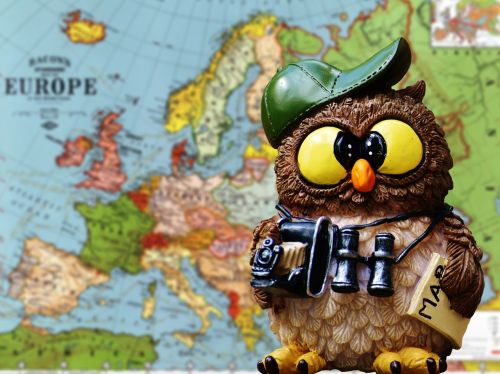 travel tourist owl